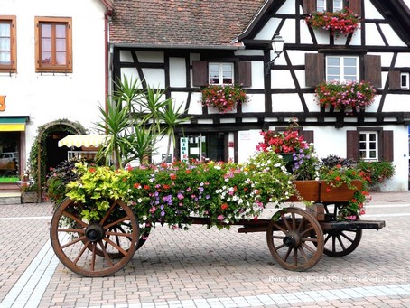 SCHERWILLER - Place de la Mairie - Photo ROUILLON